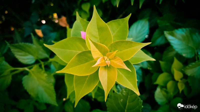 Geometria