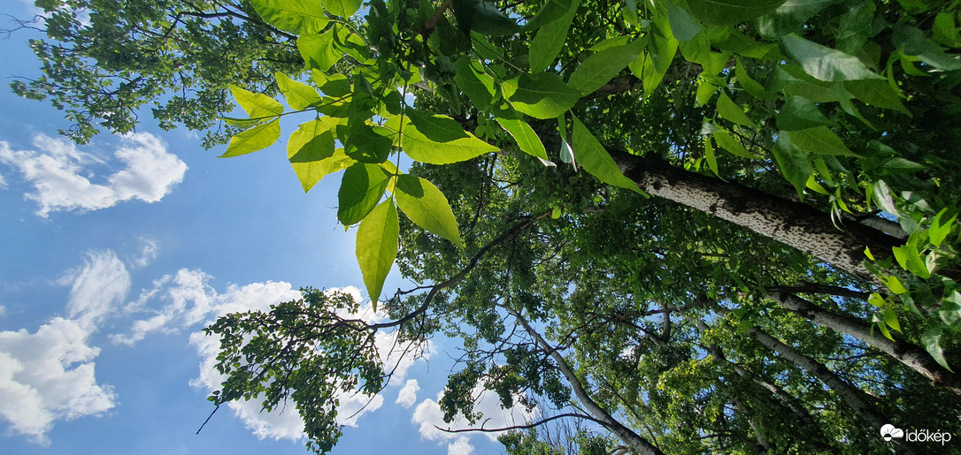 Csodás napunk van! ❤️