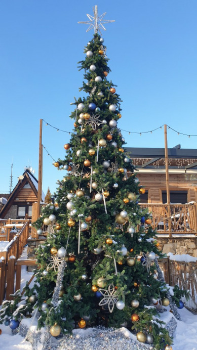Tiszalök