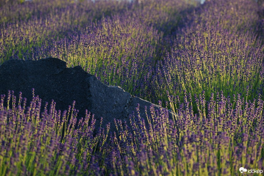 Tiszalök