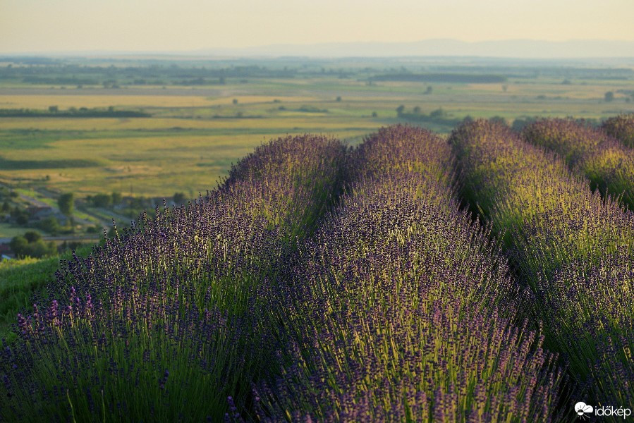Tiszalök