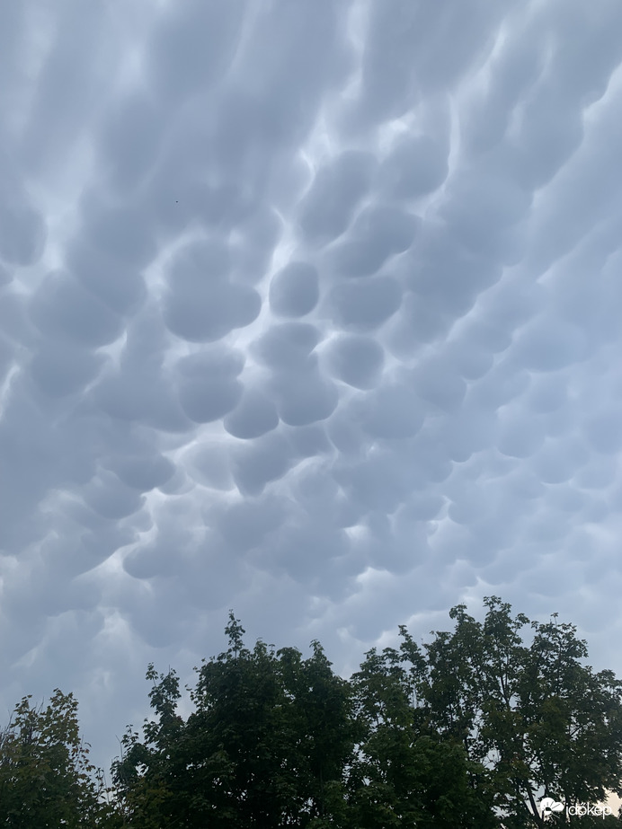 Mammatus