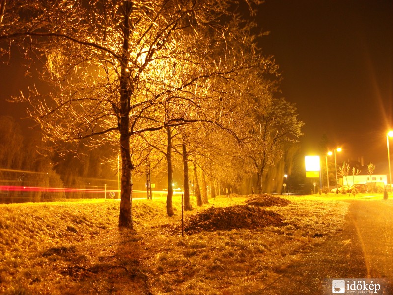 Ónos eső a faágakon