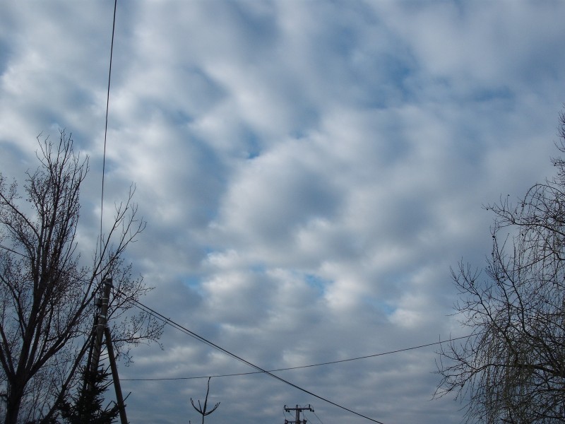 Reggeli altocumulus