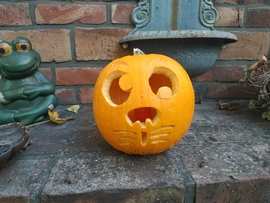 Tökfaragás a szép őszi időben