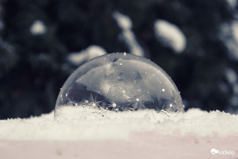 Törékeny szépség