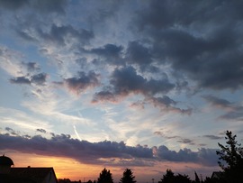edinag fotója