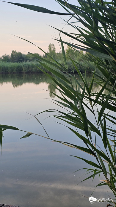 Fertőszéplak