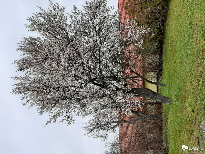 Esőben 