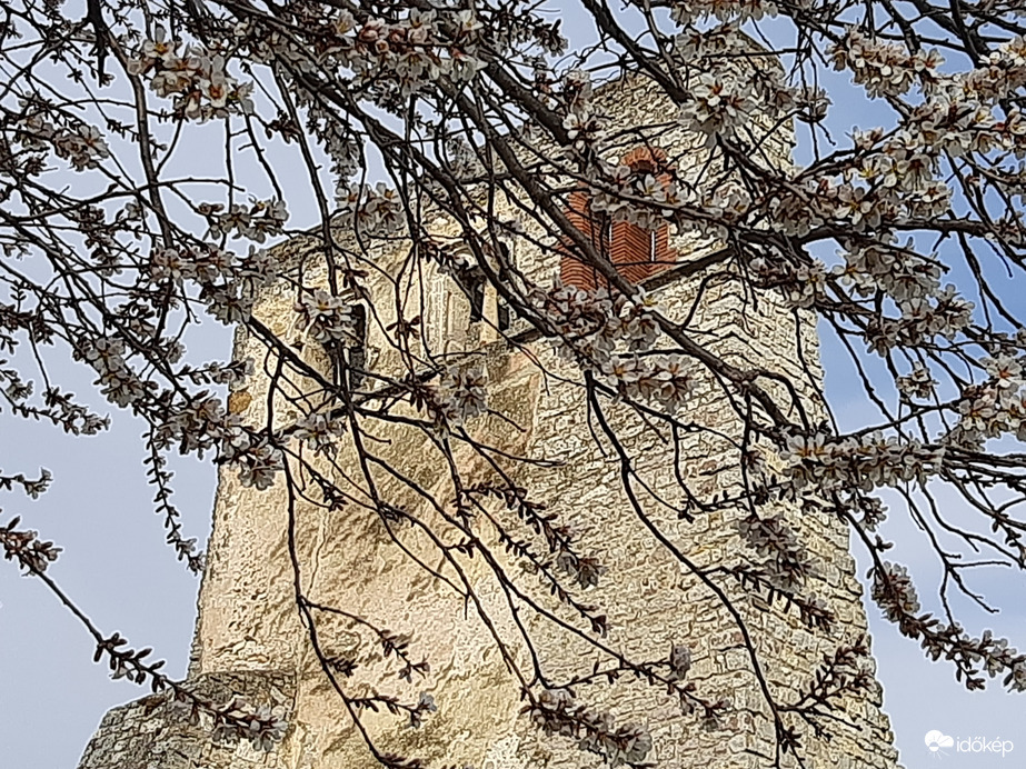 Tavasz Dörgicsén