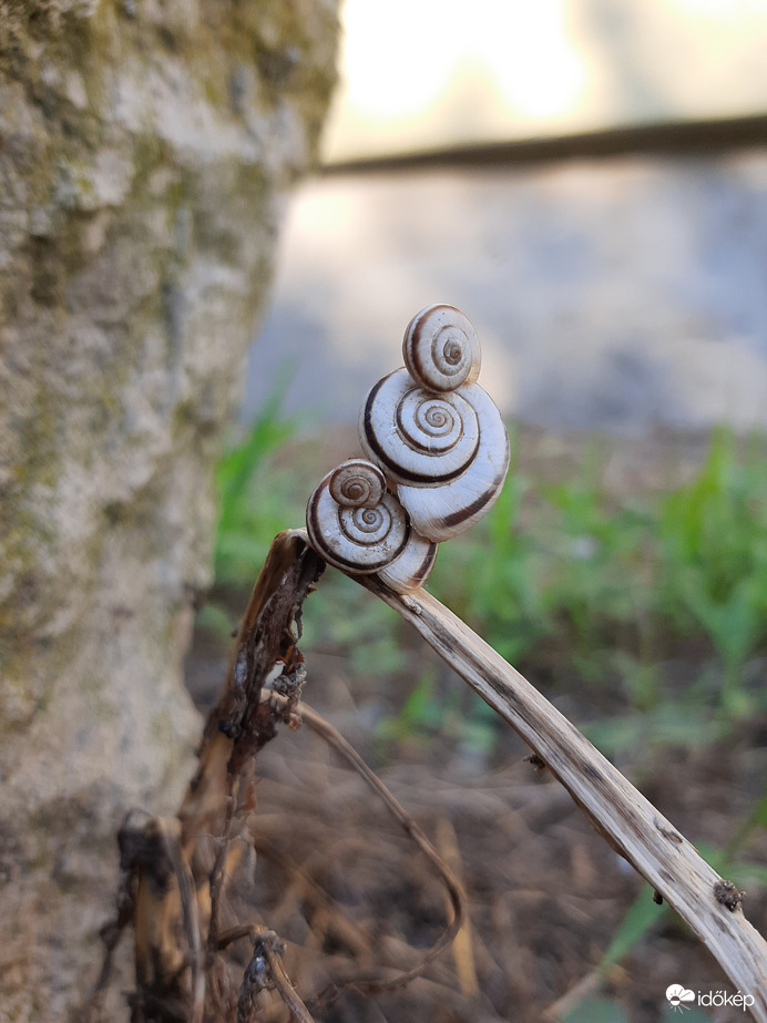 Egymás hegyén-hátán