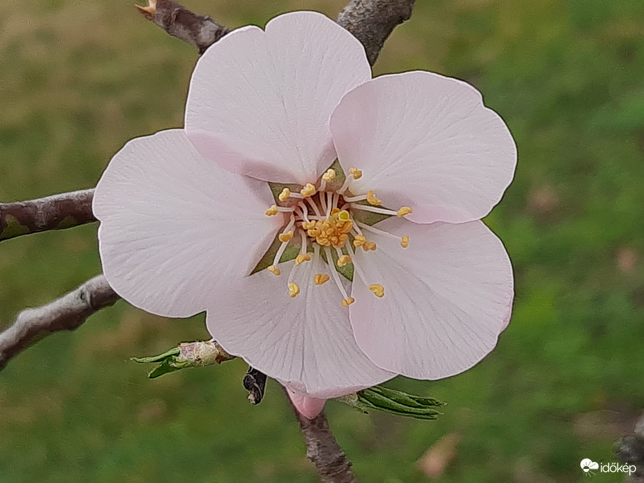 Kezdődik