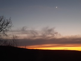 Kócos naplemente