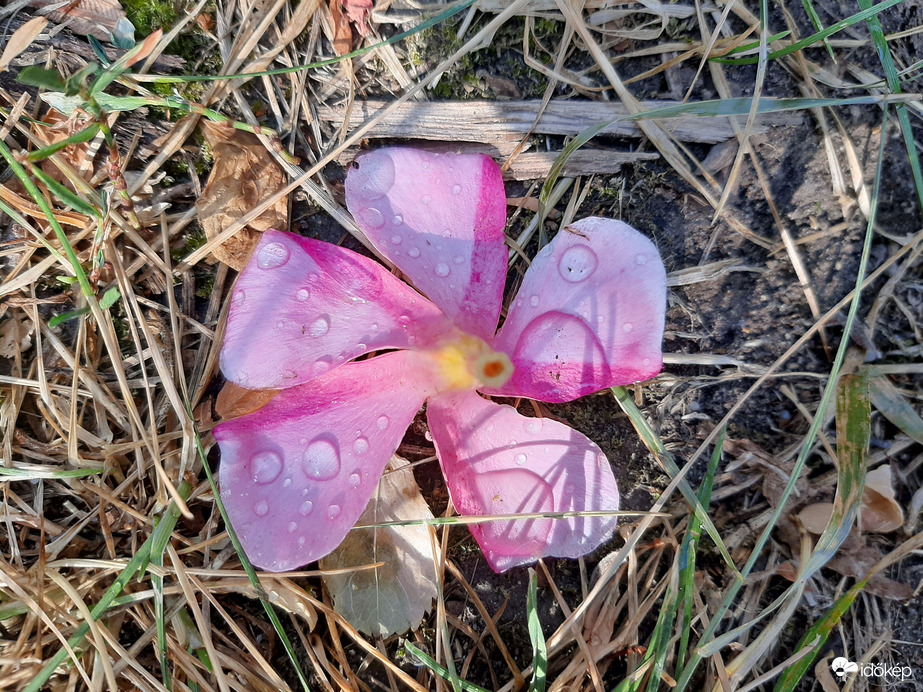 Ennyi eső esett hajnalban