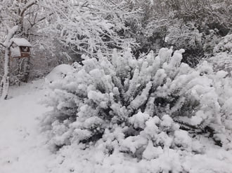 Holle anyó munkában