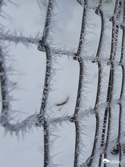 Zúzmarás kerítés