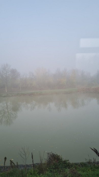 Algyő