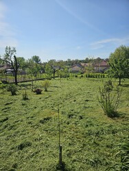 Buják
