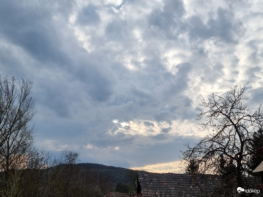 Buják