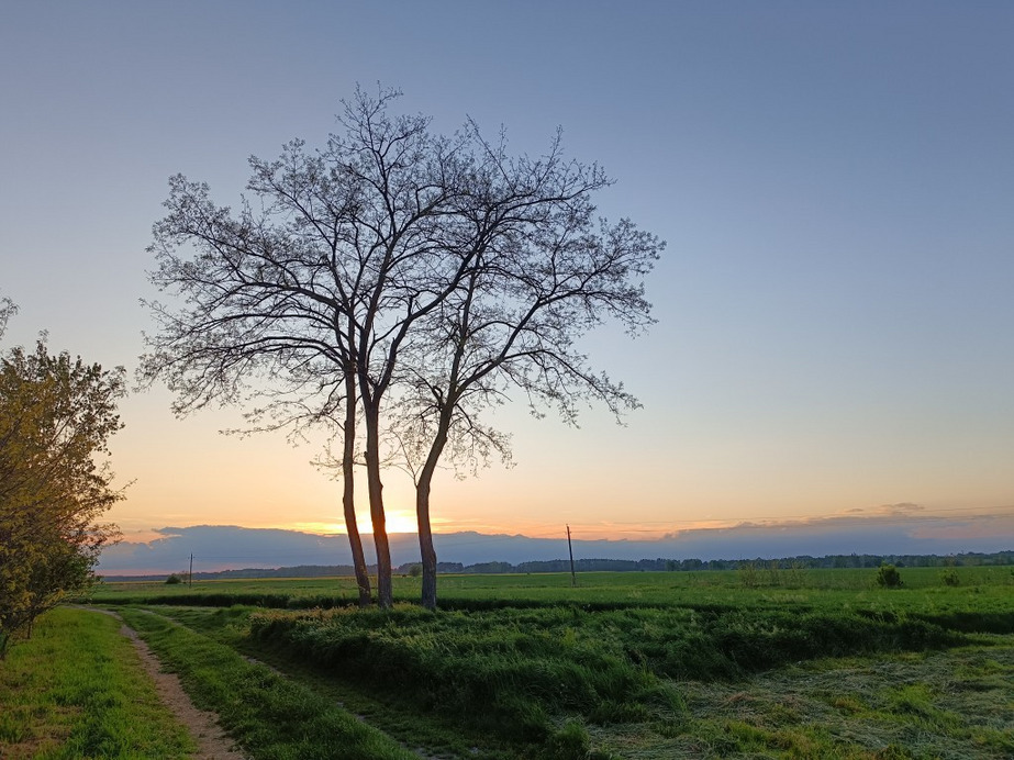 Tiszaszőlős