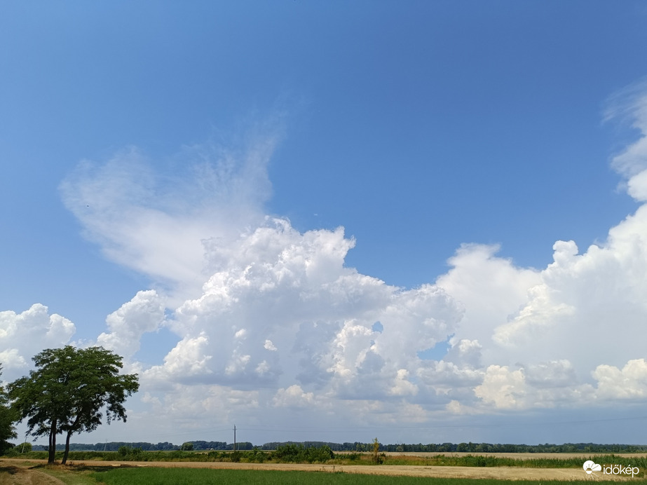 Tiszaszőlős