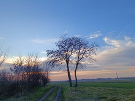 Tiszaszőlős