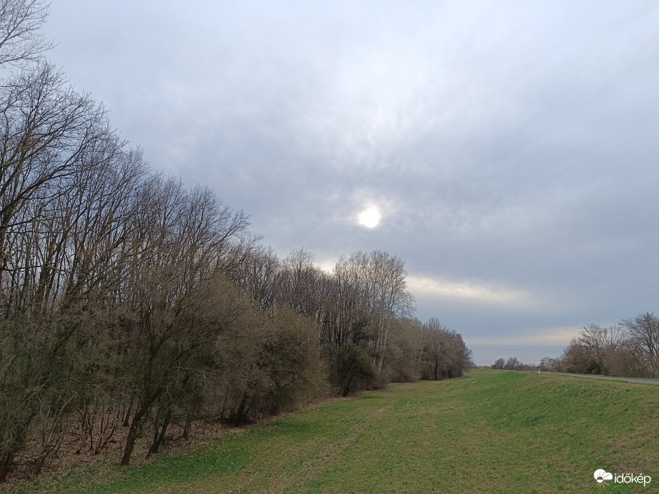 Tiszaszőlős