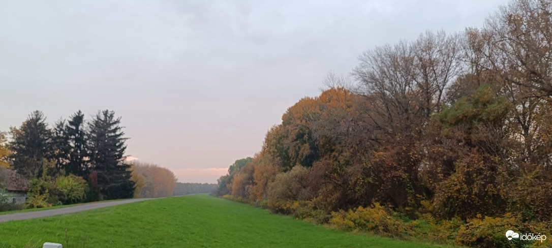 Tiszaszőlős