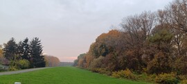 Tiszaszőlős