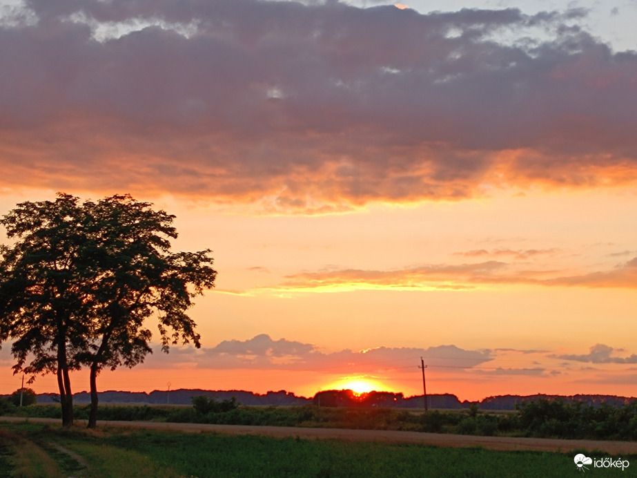 Tiszaszőlős