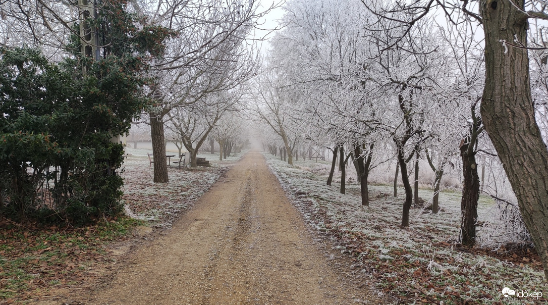 Harmatos út
