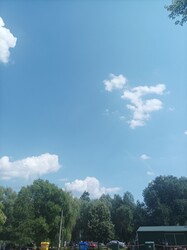 Levelek