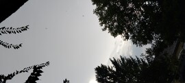 Isaszeg