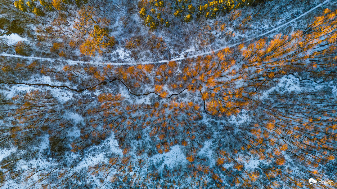 Havas erdő madártávlatból