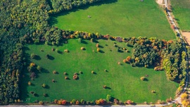 A csend zöld mezeje