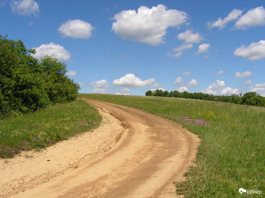 Dűlőút Készült 2013. 05. 20. 