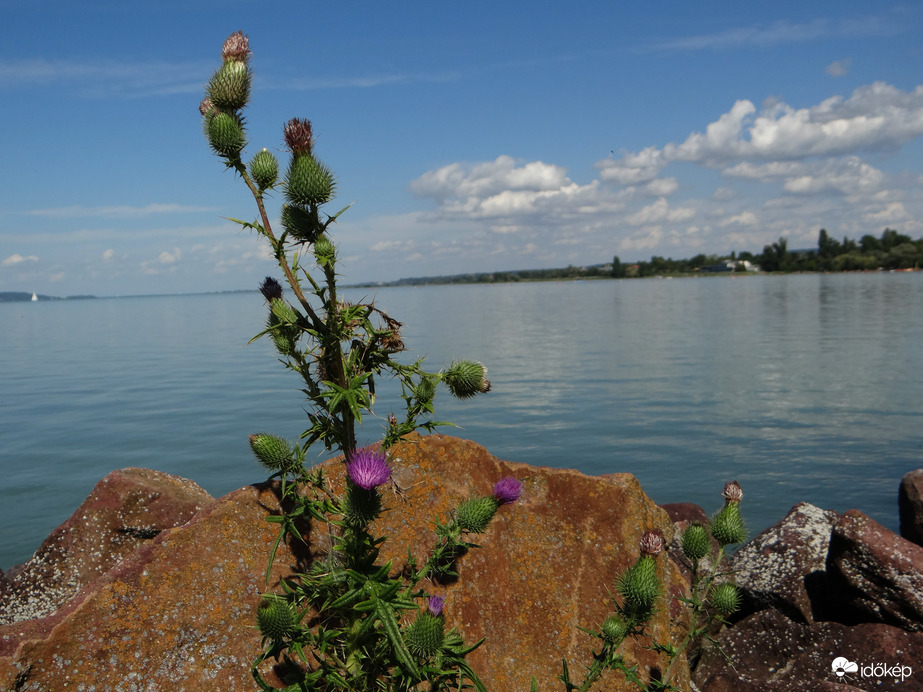 Balatonszemes 