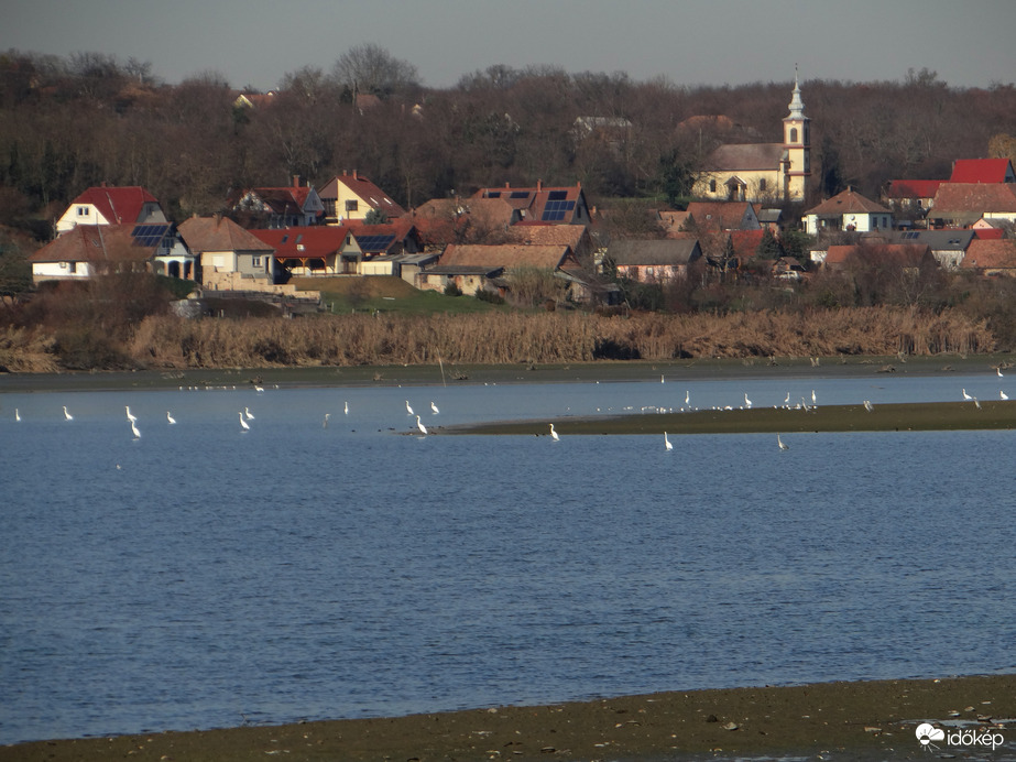 Csertői halastó Baranya vármegye 