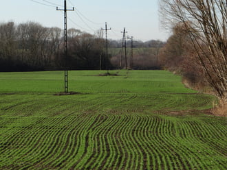 Jövő évi kenyerünk 
