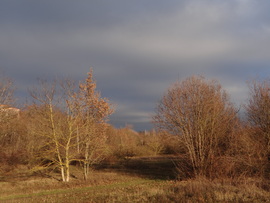 Ma délutáni fények 