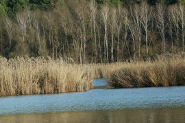 Orfű Herman Ottó tó 