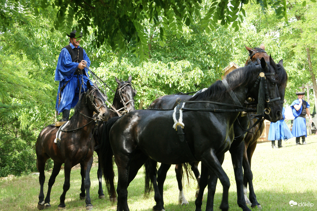 Helvéciai lovasok a Somogyhárságyi Parasztolimpián 
