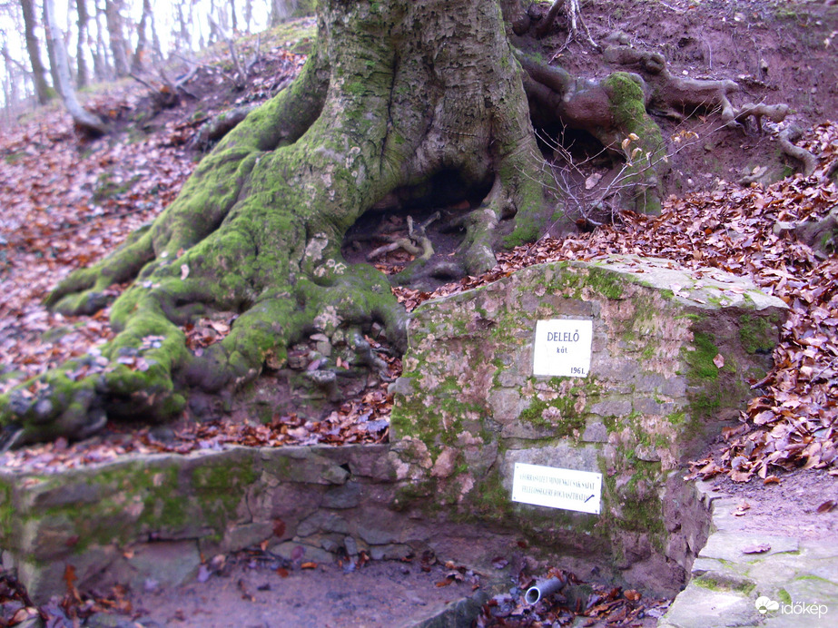 Pécs Égervölgy 