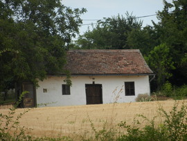 Tájkép
