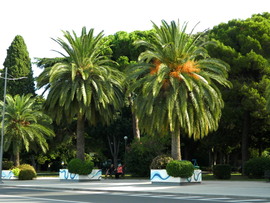 Pula kikötő melletti park 
