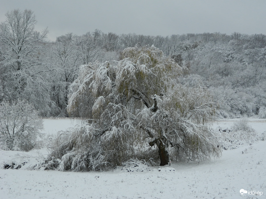 Mecsek ma délelőtt 