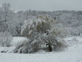 Mecsek ma délelőtt 