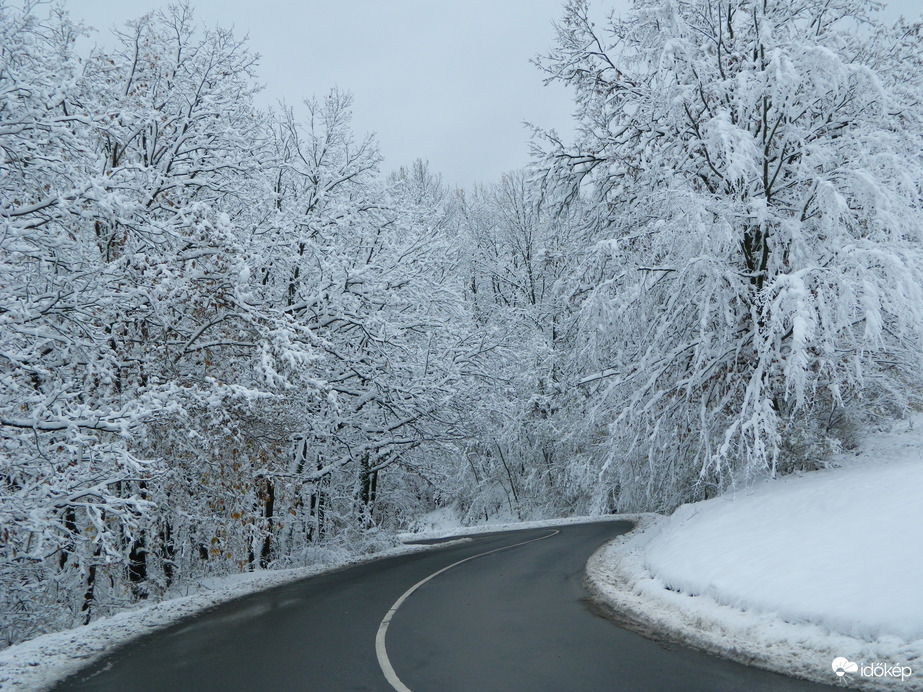 Mecsek ma délelőtt 