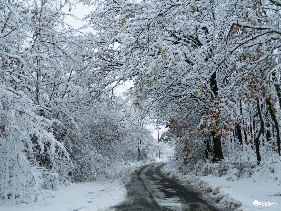 Mecsek ma délelőtt 