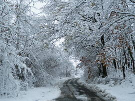 Mecsek ma délelőtt 